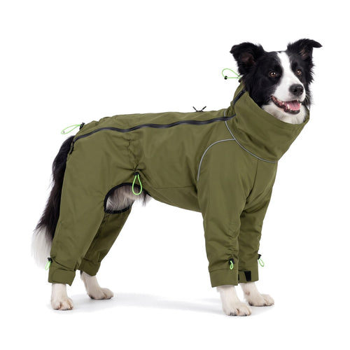 Border Collie wearing the olive dog raincoat with legs