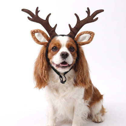 Cavalier King Charles Spaniel wearing dog reindeer antlers