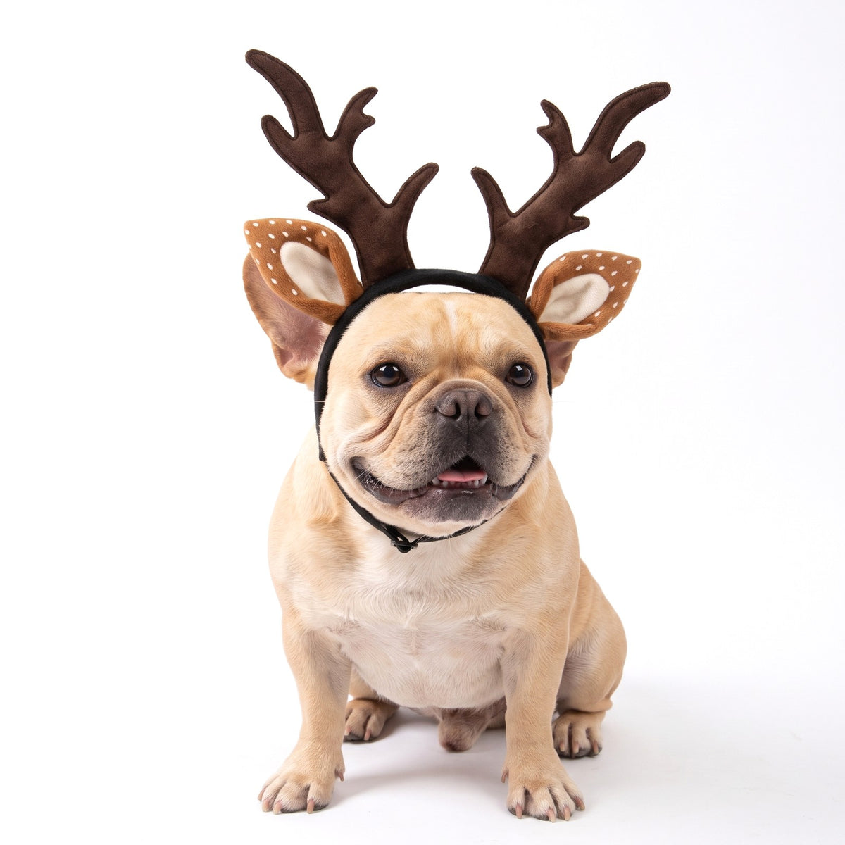 French Bulldog wearing dog reindeer antlers