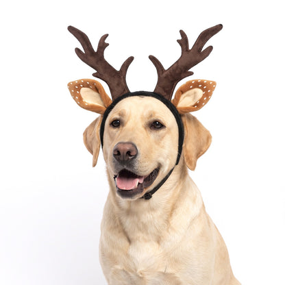 Labrador wearing plush dog reindeer antlers
