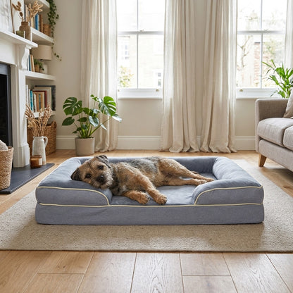 Border Terrier stretched out on the slate grey dog sofa bed