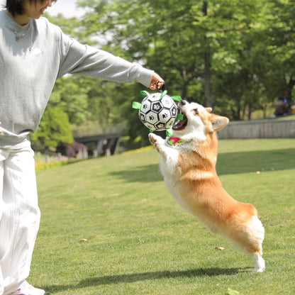 Dog Playing Doggo Ball™ - Interactive Dog Toy