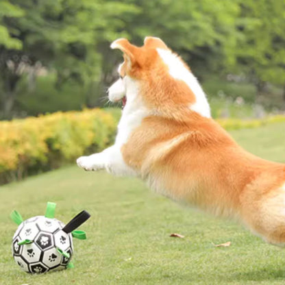 Dog playing with Doggo Ball - Interactive Dog Toy