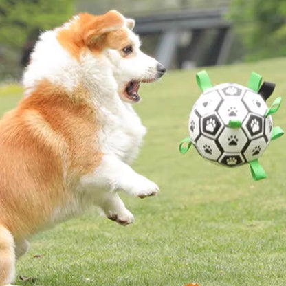 Dog playing with Doggo Ball - Interactive Dog Toy