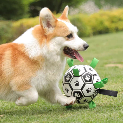 Dog playing with Doggo Ball - Interactive Dog Toy