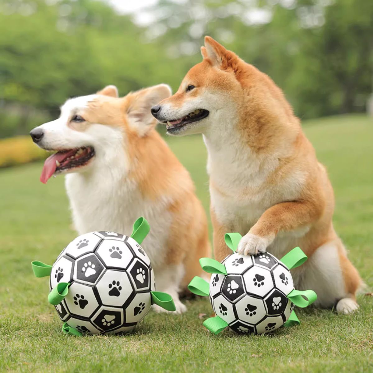 Dog playing with Doggo Ball - Interactive Dog Toy
