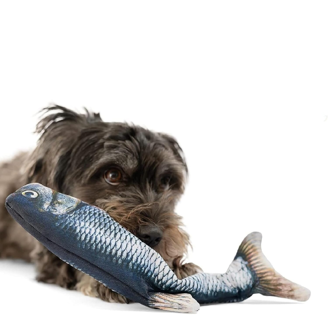 Dog Playing with Floppy Fish Interactive Dog Toy Tuna 