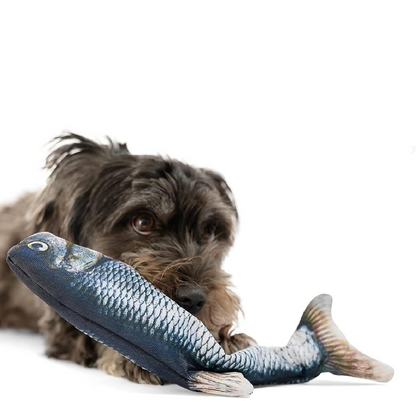 Dog Playing with Floppy Fish Interactive Dog Toy Tuna 