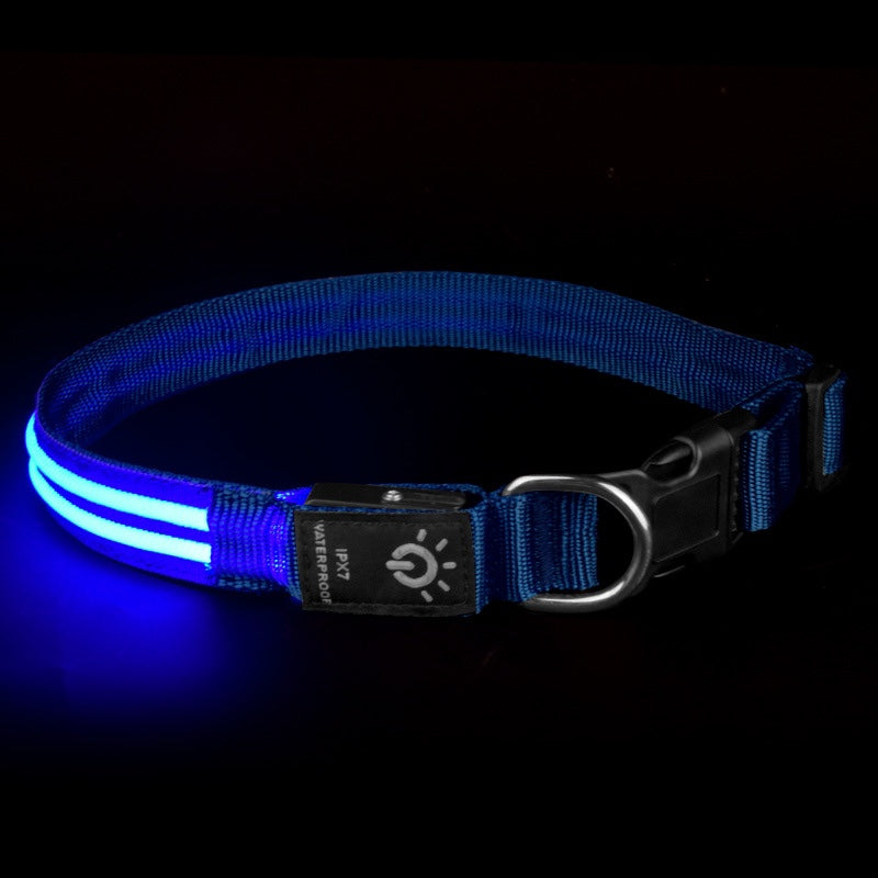 Blue fibre optic LED dog collar