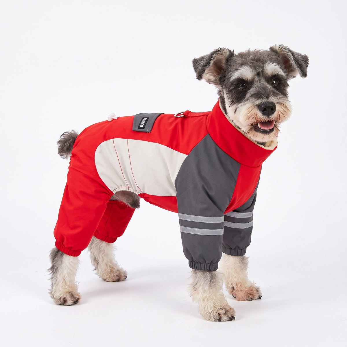 Fleece lined dog jumpsuit in Red on a Miniature Schnauzer