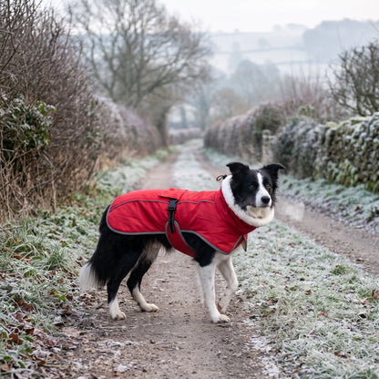 Fleece Lined Dog Winter Coat with Adjustable Belly Strap in use outdoors