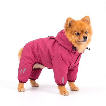 Orange Pomeranian wearing the berry pink dog raincoat on a white background