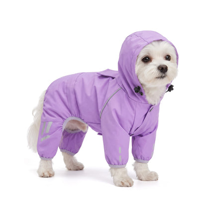 White Maltese wearing the lavender dog raincoat on a white background