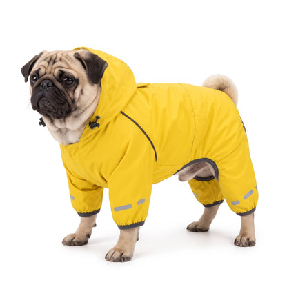 Fawn Pug wearing the yellow dog raincoat on a white background