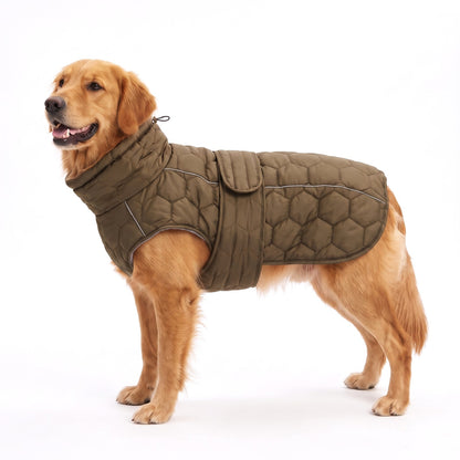 Quilted dog coat in Olive on a Golden Retriever