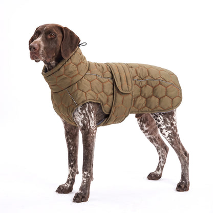 Quilted dog coat in Olive Orange Stitch on a German Shorthaired Pointer