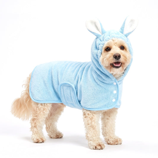Cavapoo wearing the blue hooded dog bathrobe with bunny ears