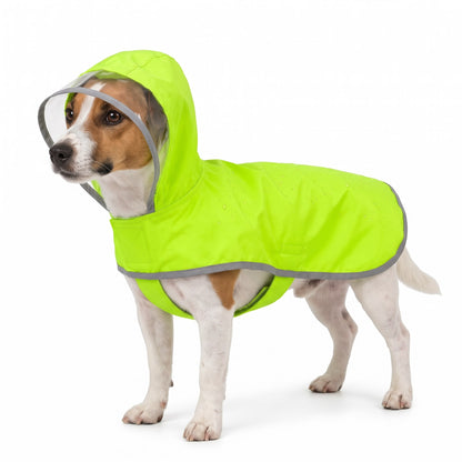 Jack Russell Terrier wearing the lime green dog raincoat on a white background