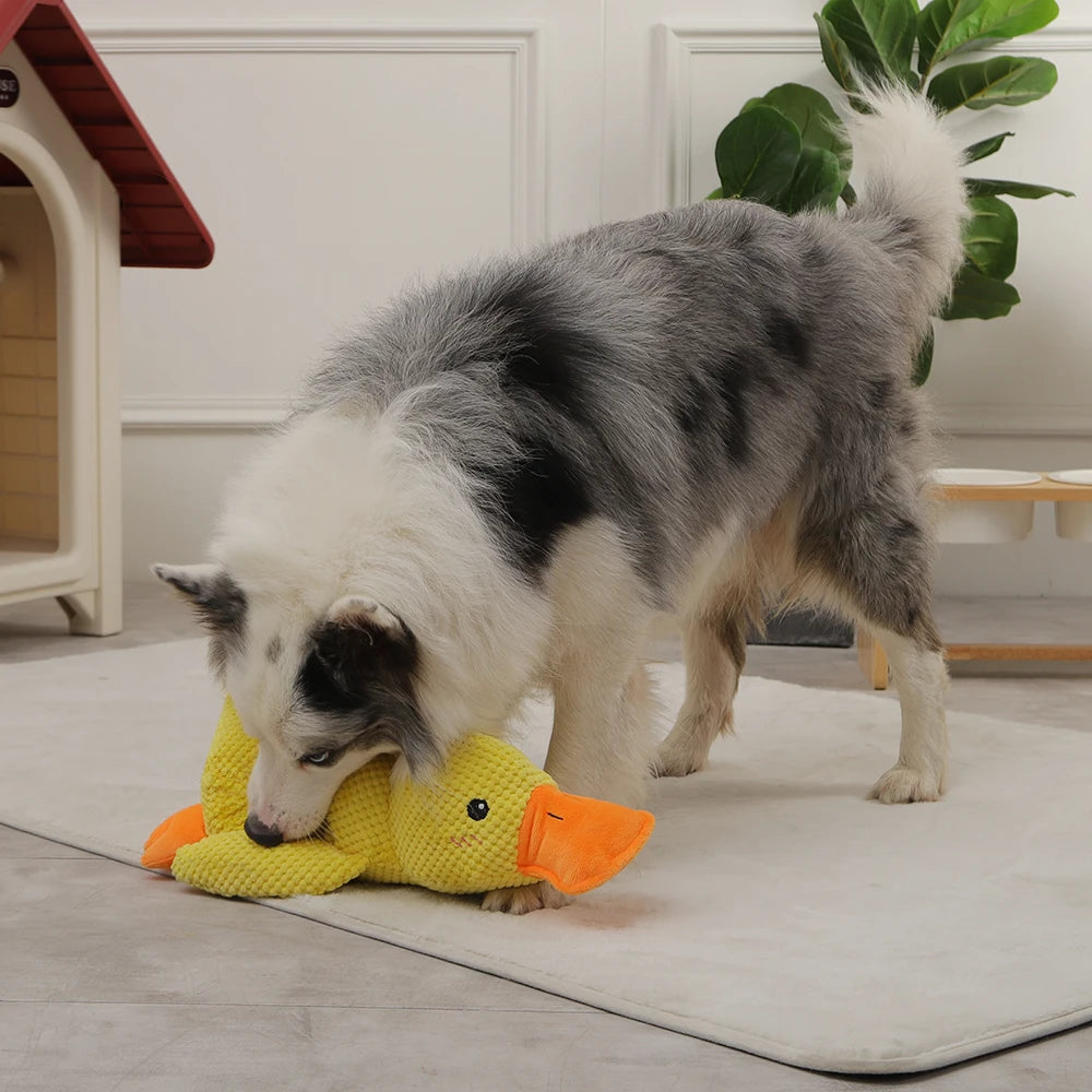interactive duck dog toy happier doggo