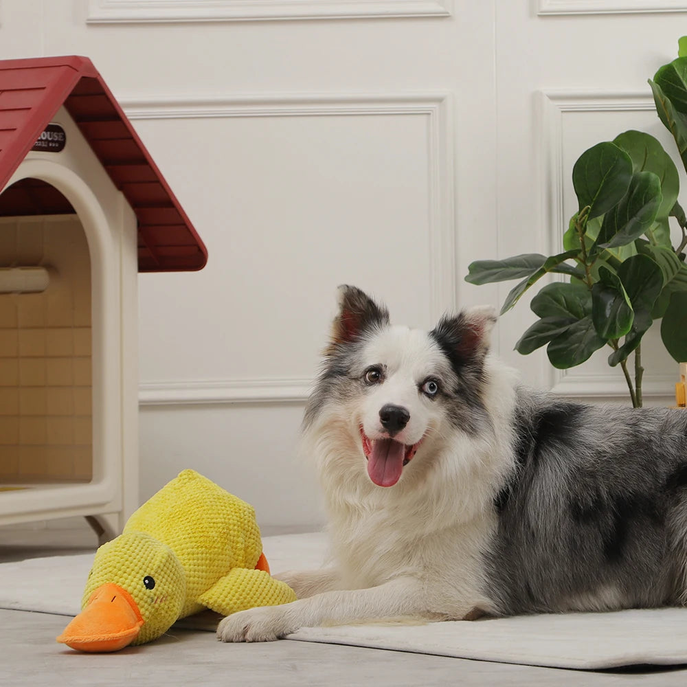 interactive duck dog toy happier doggo