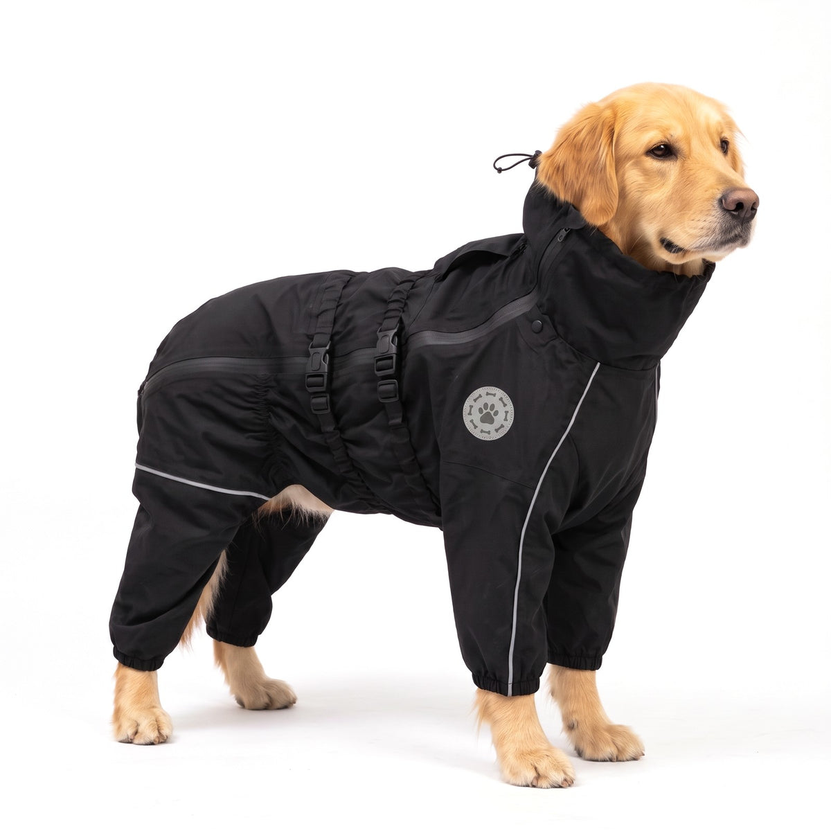 Large dog raincoat with legs in Black on a Golden Retriever