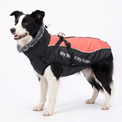 Padded dog coat with built-in harness in Coral with reflective piping and reflective side print on a Border Collie