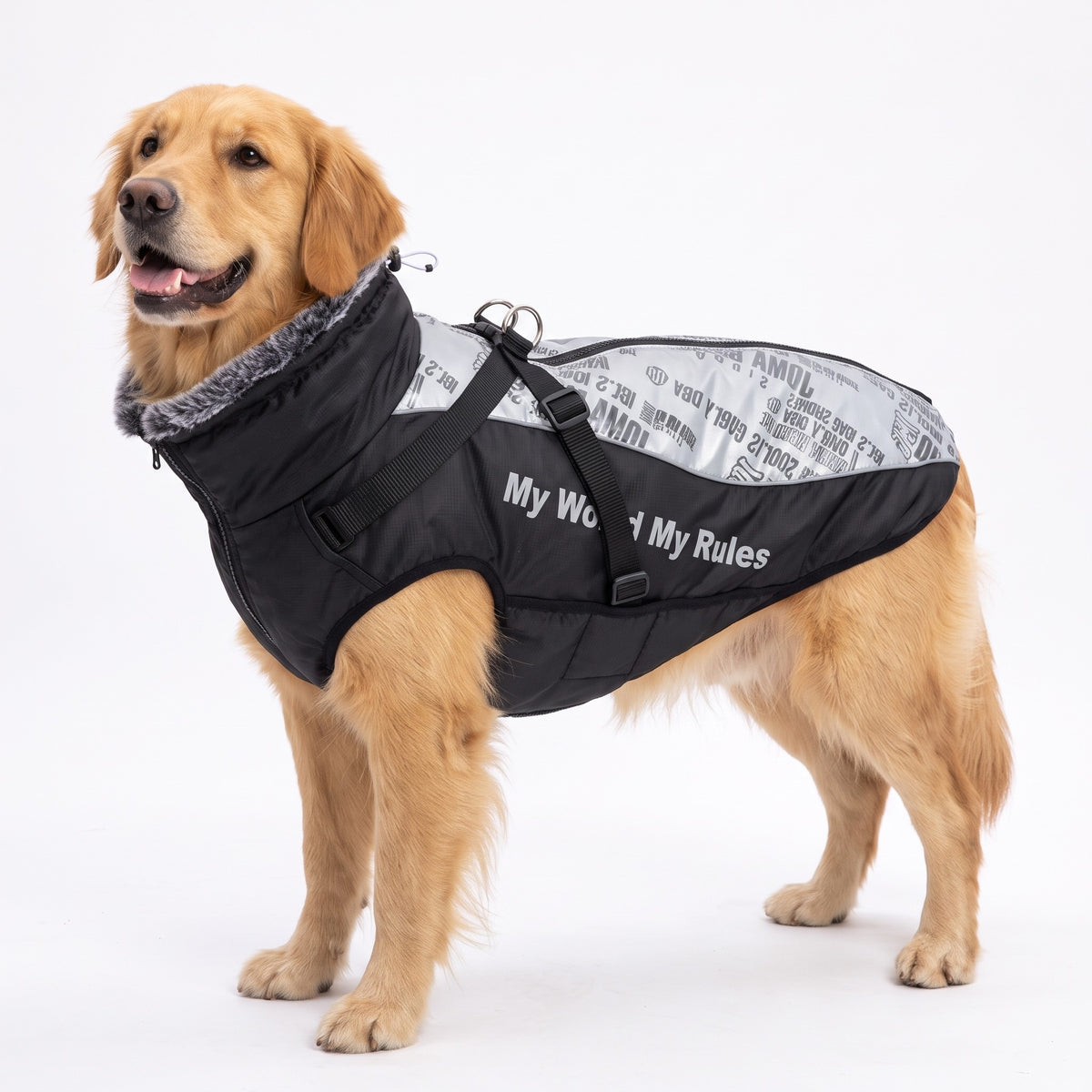Reflective padded dog coat with built-in harness in Reflective Silver on a Golden Retriever
