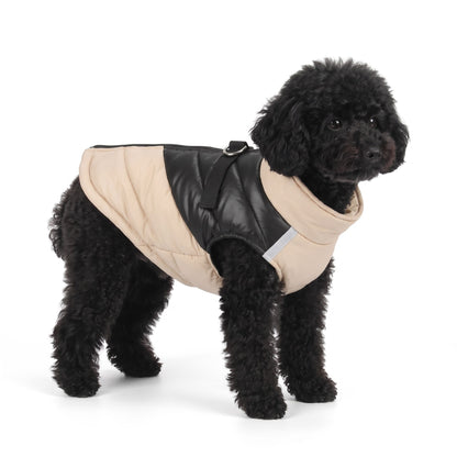 Black Miniature Poodle wearing the beige dog coat on a white background