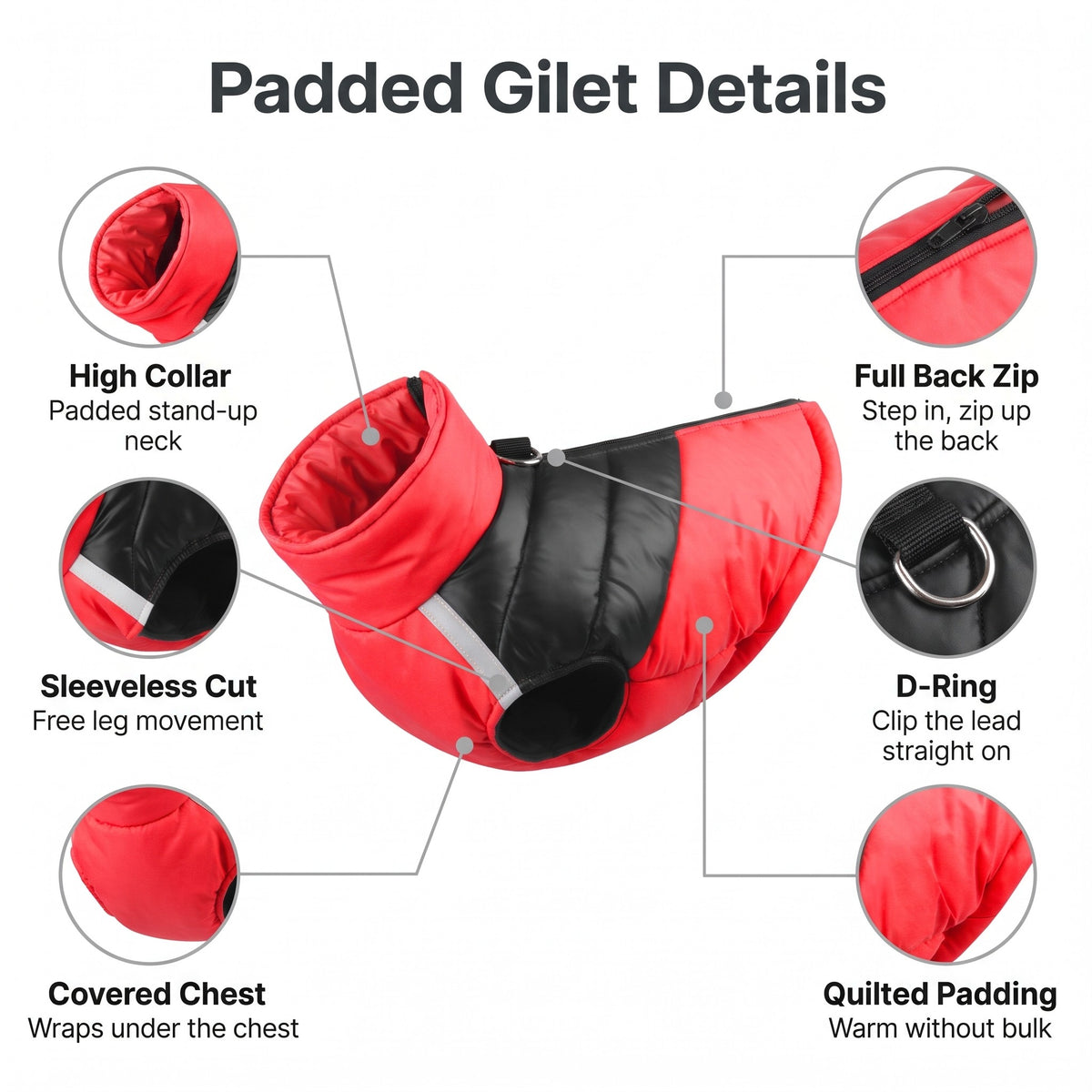 Padded dog gilet details: back zip, D-ring, quilted padding, high collar, covered chest and sleeveless cut
