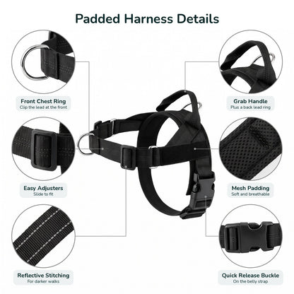 Padded dog harness details: front chest ring, adjusters, reflective stitching, grab handle, mesh padding, quick release buckle