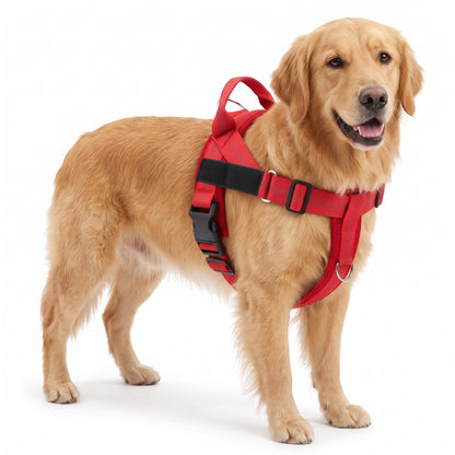 Padded dog harness with handle in Red on a Golden Retriever