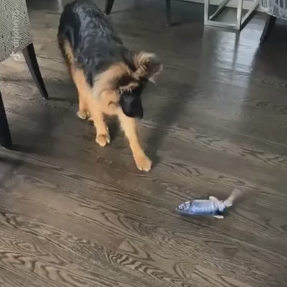 Floppy Fish - Interactive Dog Toy