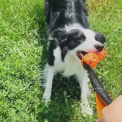 Bungee Tug Stick - Squeaky Dog Tug Toy