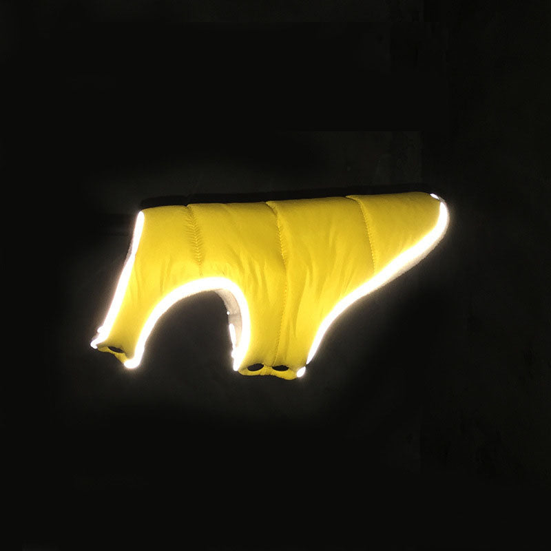 Reflective piping around the edges of the dog coat shining in the dark
