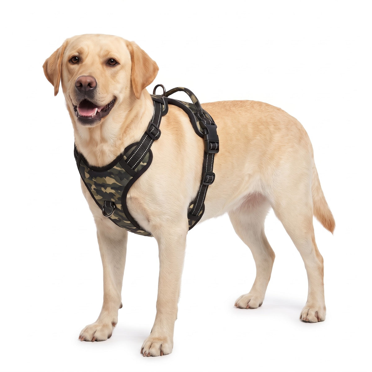 Reflective dog harness in Camo Green on a Labrador