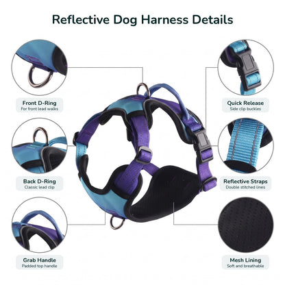 Reflective dog harness details: front D-ring, back D-ring, grab handle, quick release buckles, reflective straps, mesh lining