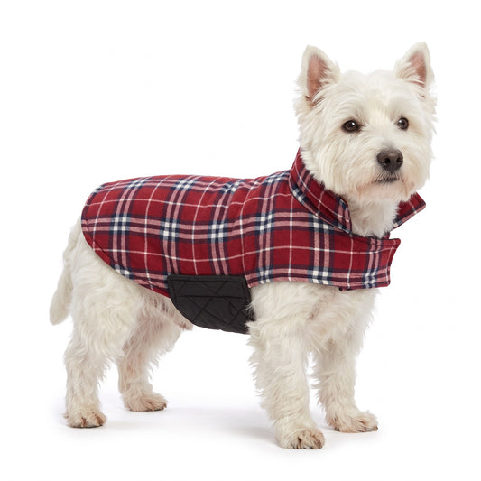 West Highland Terrier wearing a red tartan reversible dog coat on a white background
