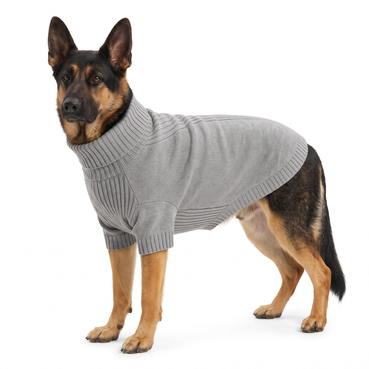 German Shepherd wearing the grey roll neck knitted dog jumper