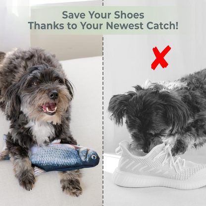 Save your shoes with our interactive dog toy floppy fish
