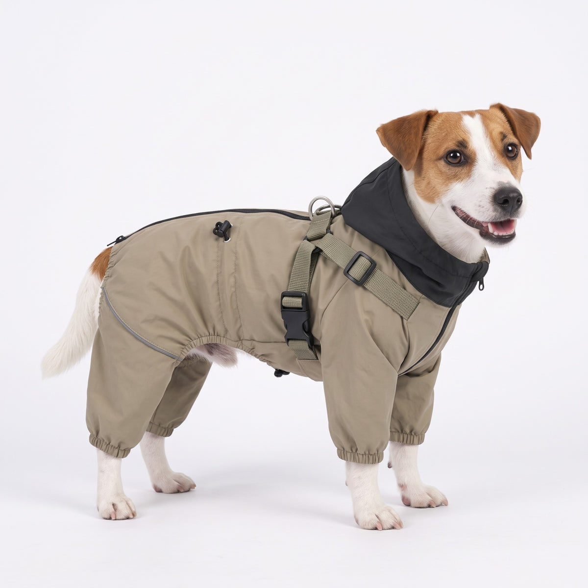 Dog raincoat with legs and built-in harness in Khaki on a Jack Russell