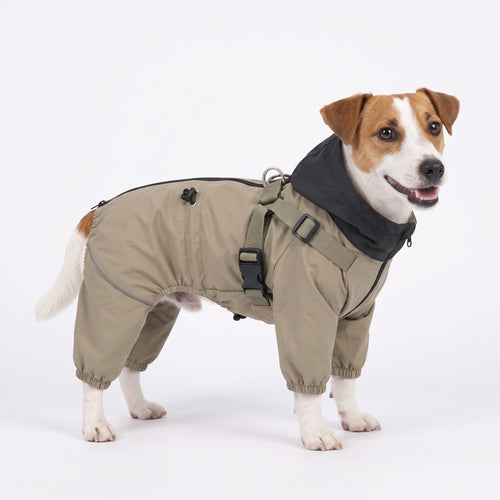 Dog raincoat with legs and built-in harness in Khaki on a Jack Russell
