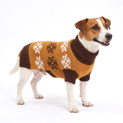 Caramel snowflake dog jumper with brown roll neck on a Jack Russell Terrier