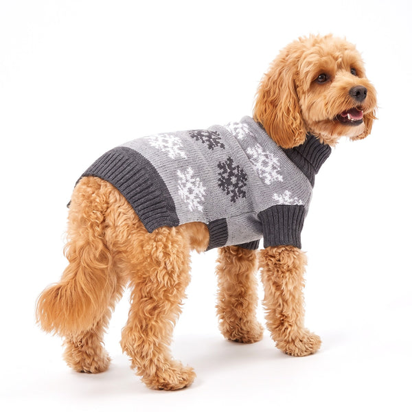 Grey snowflake dog jumper on a Cavapoo, showing the knitted snowflake rows on the back