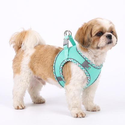 Gold-and-white Shih Tzu wearing the mint dog harness on a white background