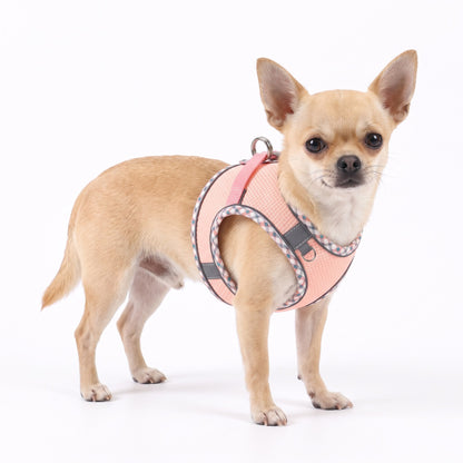 Fawn Chihuahua wearing the pink dog harness on a white background