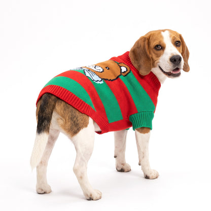 Red and green striped Christmas dog jumper with teddy bear on the back, worn by a Beagle