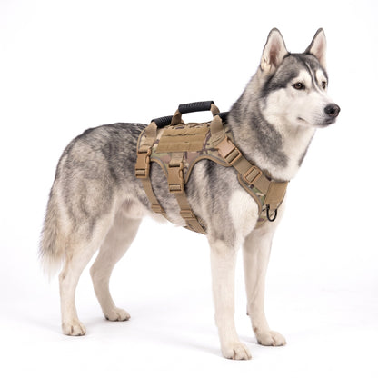 Grey-and-white Siberian Husky wearing the camo dog harness on a white background
