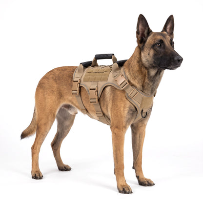 Belgian Malinois wearing the coyote tan dog harness on a white background