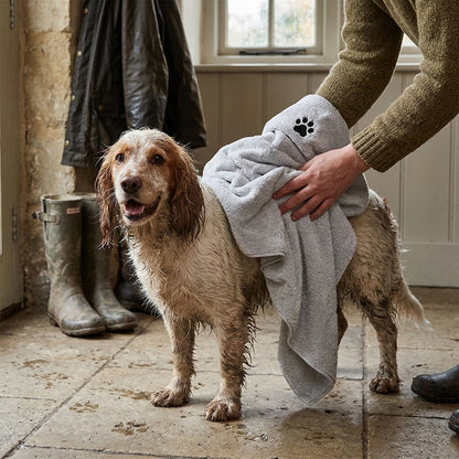 Owner drying a muddy cocker spaniel with a grey dog towel