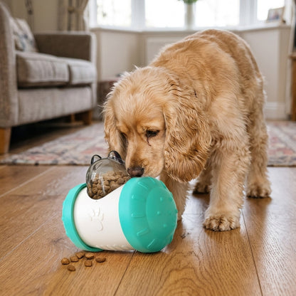 Cocker Spaniel nudging the blue treat dispensing wobbler on a wooden floor as kibble drops out
